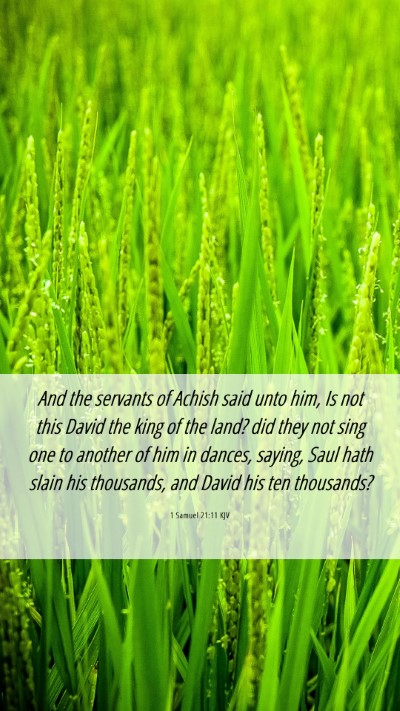 Picture 06 - 1 Samuel 21:11 KJV Mobile Phone Wallpaper - And the servants of Achish said unto him, Is not - Mobile Bible Verse Wallpaper