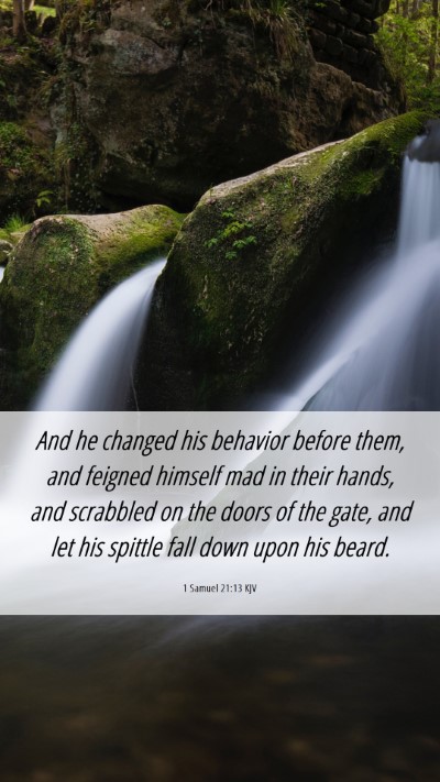 Picture 06 - 1 Samuel 21:13 KJV Mobile Phone Wallpaper - And he changed his behavior before them, and - Mobile Bible Verse Wallpaper