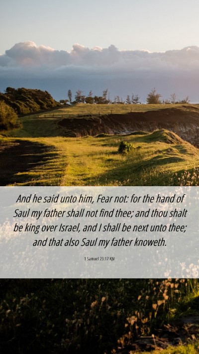 Picture 06 - 1 Samuel 23:17 KJV Mobile Phone Wallpaper - And he said unto him, Fear not: for the hand of - Mobile Bible Verse Wallpaper