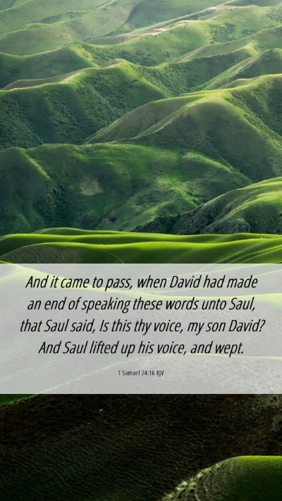 Picture 06 - 1 Samuel 24:16 KJV Mobile Phone Wallpaper - And it came to pass, when David had made an end - Mobile Bible Verse Wallpaper
