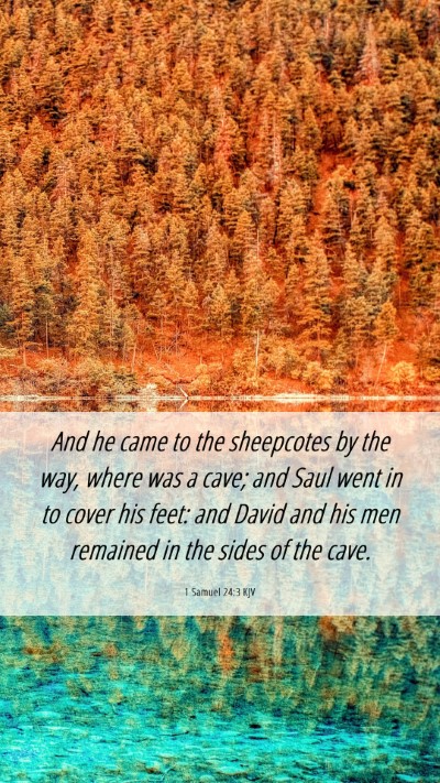 Picture 06 - 1 Samuel 24:3 KJV Mobile Phone Wallpaper - And he came to the sheepcotes by the way, where - Mobile Bible Verse Wallpaper
