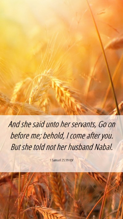 Picture 06 - 1 Samuel 25:19 KJV Mobile Phone Wallpaper - And she said unto her servants, Go on before me; - Mobile Bible Verse Wallpaper