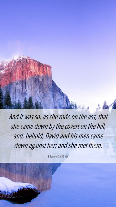 Picture 06 - 1 Samuel 25:20 KJV Mobile Phone Wallpaper - And it was so, as she rode on the ass, that she - Mobile Bible Verse Wallpaper