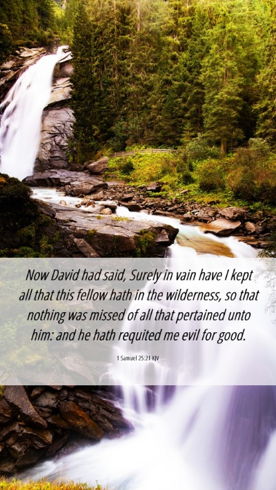Picture 06 - 1 Samuel 25:21 KJV Mobile Phone Wallpaper - Now David had said, Surely in vain have I kept - Mobile Bible Verse Wallpaper