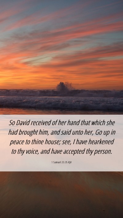 Picture 06 - 1 Samuel 25:35 KJV Mobile Phone Wallpaper - So David received of her hand that which she had - Mobile Bible Verse Wallpaper