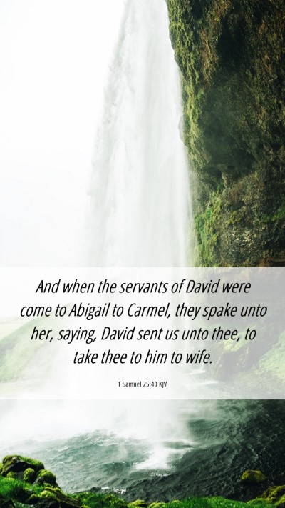 Picture 06 - 1 Samuel 25:40 KJV Mobile Phone Wallpaper - And when the servants of David were come to - Mobile Bible Verse Wallpaper
