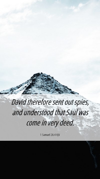 Picture 06 - 1 Samuel 26:4 KJV Mobile Phone Wallpaper - David therefore sent out spies, and understood - Mobile Bible Verse Wallpaper