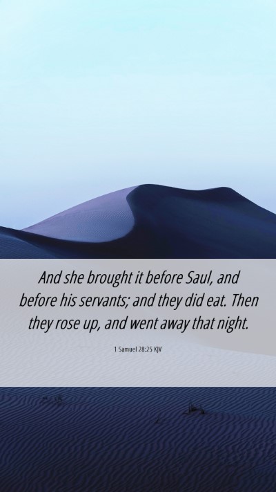 Picture 06 - 1 Samuel 28:25 KJV Mobile Phone Wallpaper - And she brought it before Saul, and before his - Mobile Bible Verse Wallpaper