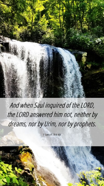Picture 06 - 1 Samuel 28:6 KJV Mobile Phone Wallpaper - And when Saul inquired of the LORD, the LORD - Mobile Bible Verse Wallpaper