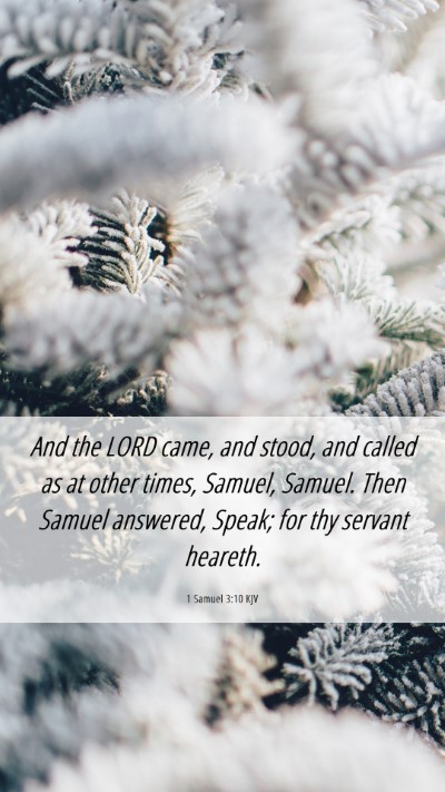 Picture 06 - 1 Samuel 3:10 KJV Mobile Phone Wallpaper - And the LORD came, and stood, and called as at - Mobile Bible Verse Wallpaper