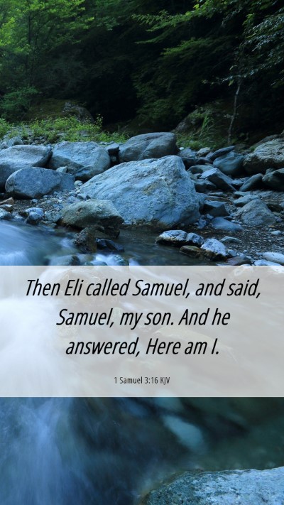 Picture 06 - 1 Samuel 3:16 KJV Mobile Phone Wallpaper - Then Eli called Samuel, and said, Samuel, my son. - Mobile Bible Verse Wallpaper