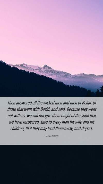 Picture 06 - 1 Samuel 30:22 KJV Mobile Phone Wallpaper - Then answered all the wicked men and men of - Mobile Bible Verse Wallpaper