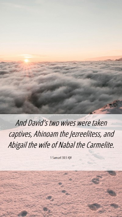 Picture 06 - 1 Samuel 30:5 KJV Mobile Phone Wallpaper - And David's two wives were taken captives, - Mobile Bible Verse Wallpaper