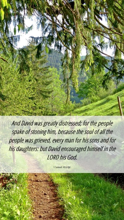 Picture 06 - 1 Samuel 30:6 KJV Mobile Phone Wallpaper - And David was greatly distressed; for the people - Mobile Bible Verse Wallpaper