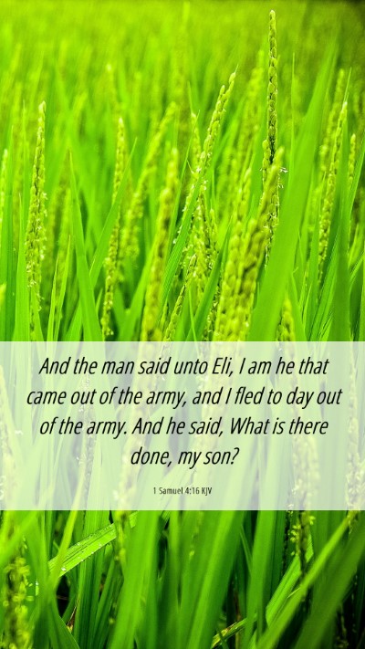Picture 06 - 1 Samuel 4:16 KJV Mobile Phone Wallpaper - And the man said unto Eli, I am he that came out - Mobile Bible Verse Wallpaper