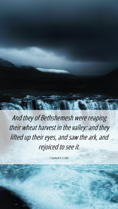 Picture 06 - 1 Samuel 6:13 KJV Mobile Phone Wallpaper - And they of Bethshemesh were reaping their wheat - Mobile Bible Verse Wallpaper