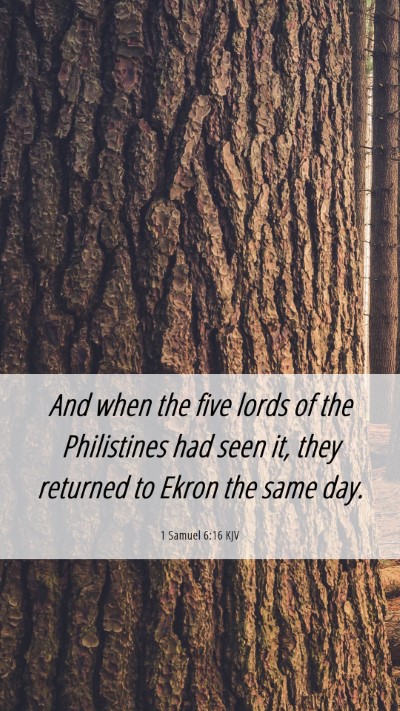 Picture 06 - 1 Samuel 6:16 KJV Mobile Phone Wallpaper - And when the five lords of the Philistines had - Mobile Bible Verse Wallpaper