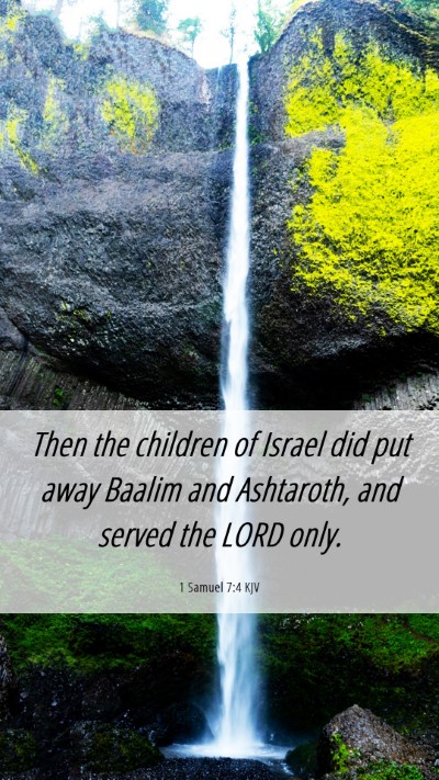 Picture 06 - 1 Samuel 7:4 KJV Mobile Phone Wallpaper - Then the children of Israel did put away Baalim - Mobile Bible Verse Wallpaper