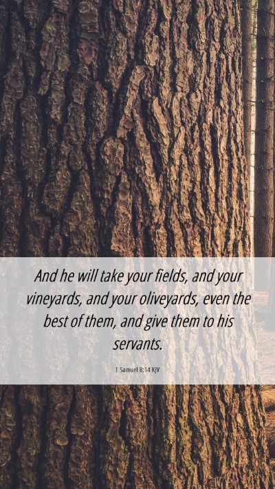 Picture 06 - 1 Samuel 8:14 KJV Mobile Phone Wallpaper - And he will take your fields, and your vineyards, - Mobile Bible Verse Wallpaper