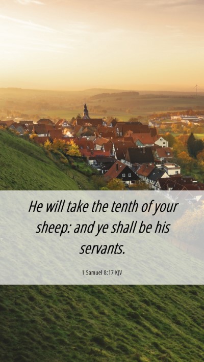 Picture 06 - 1 Samuel 8:17 KJV Mobile Phone Wallpaper - He will take the tenth of your sheep: and ye - Mobile Bible Verse Wallpaper