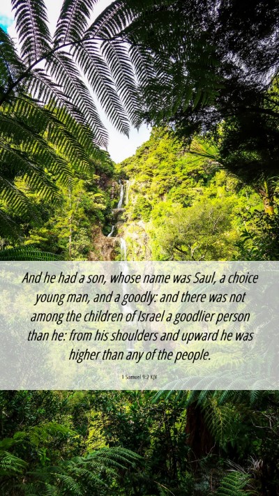 Picture 06 - 1 Samuel 9:2 KJV Mobile Phone Wallpaper - And he had a son, whose name was Saul, a choice - Mobile Bible Verse Wallpaper