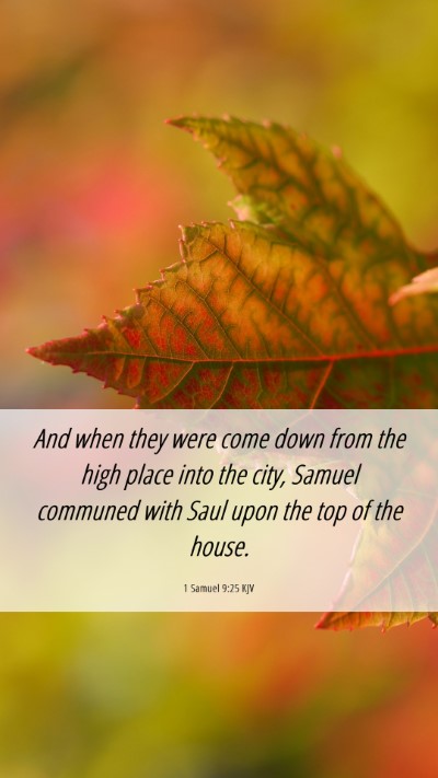 Picture 06 - 1 Samuel 9:25 KJV Mobile Phone Wallpaper - And when they were come down from the high place - Mobile Bible Verse Wallpaper