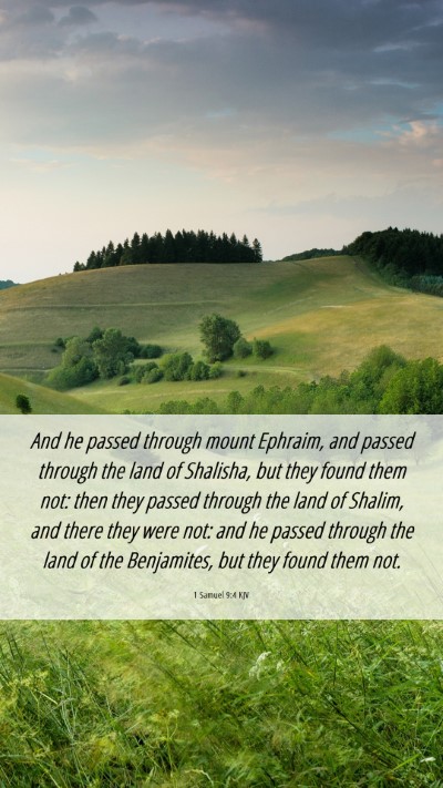 Picture 06 - 1 Samuel 9:4 KJV Mobile Phone Wallpaper - And he passed through mount Ephraim, and passed - Mobile Bible Verse Wallpaper