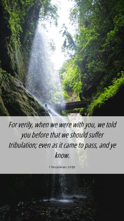 Picture 06 - 1 Thessalonians 3:4 KJV Mobile Phone Wallpaper - For verily, when we were with you, we told you - Mobile Bible Verse Wallpaper