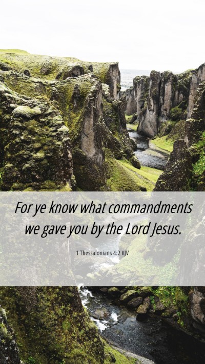 Picture 06 - 1 Thessalonians 4:2 KJV Mobile Phone Wallpaper - For ye know what commandments we gave you by the - Mobile Bible Verse Wallpaper