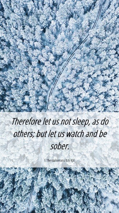Picture 06 - 1 Thessalonians 5:6 KJV Mobile Phone Wallpaper - Therefore let us not sleep, as do others; but let - Mobile Bible Verse Wallpaper