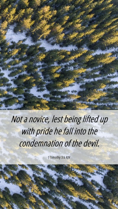 Picture 06 - 1 Timothy 3:6 KJV Mobile Phone Wallpaper - Not a novice, lest being lifted up with pride he - Mobile Bible Verse Wallpaper