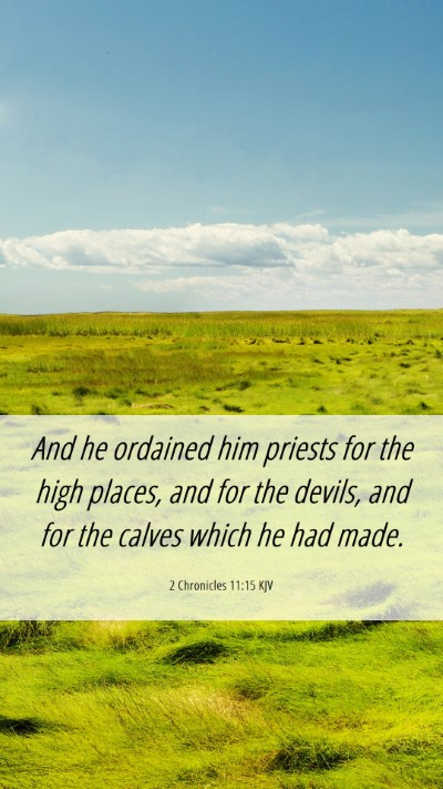 Picture 06 - 2 Chronicles 11:15 KJV Mobile Phone Wallpaper - And he ordained him priests for the high places, - Mobile Bible Verse Wallpaper