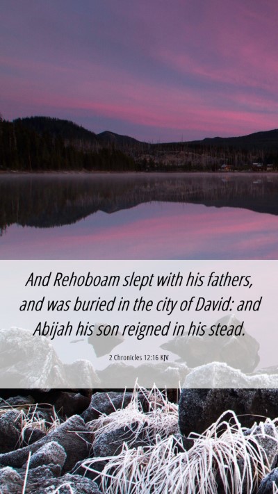 Picture 06 - 2 Chronicles 12:16 KJV Mobile Phone Wallpaper - And Rehoboam slept with his fathers, and was - Mobile Bible Verse Wallpaper