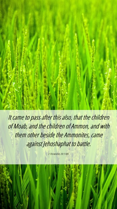 Picture 06 - 2 Chronicles 20:1 KJV Mobile Phone Wallpaper - It came to pass after this also, that the - Mobile Bible Verse Wallpaper