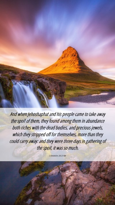 Picture 06 - 2 Chronicles 20:25 KJV Mobile Phone Wallpaper - And when Jehoshaphat and his people came to take - Mobile Bible Verse Wallpaper