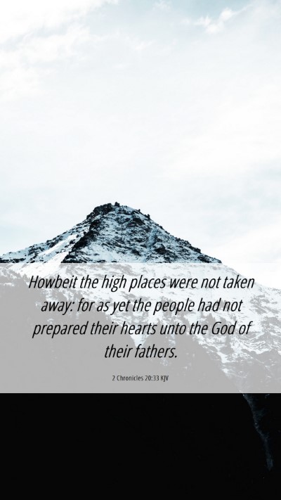 Picture 06 - 2 Chronicles 20:33 KJV Mobile Phone Wallpaper - Howbeit the high places were not taken away: for - Mobile Bible Verse Wallpaper