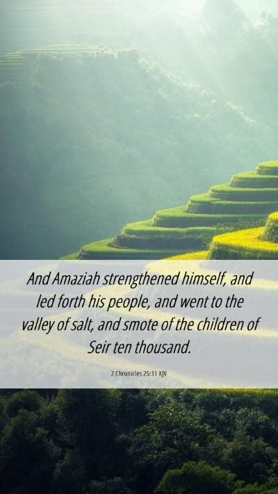 Picture 06 - 2 Chronicles 25:11 KJV Mobile Phone Wallpaper - And Amaziah strengthened himself, and led forth - Mobile Bible Verse Wallpaper