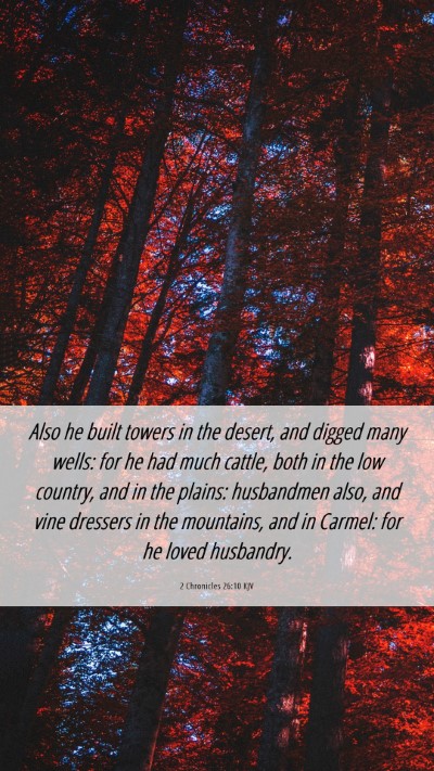 Picture 06 - 2 Chronicles 26:10 KJV Mobile Phone Wallpaper - Also he built towers in the desert, and digged - Mobile Bible Verse Wallpaper