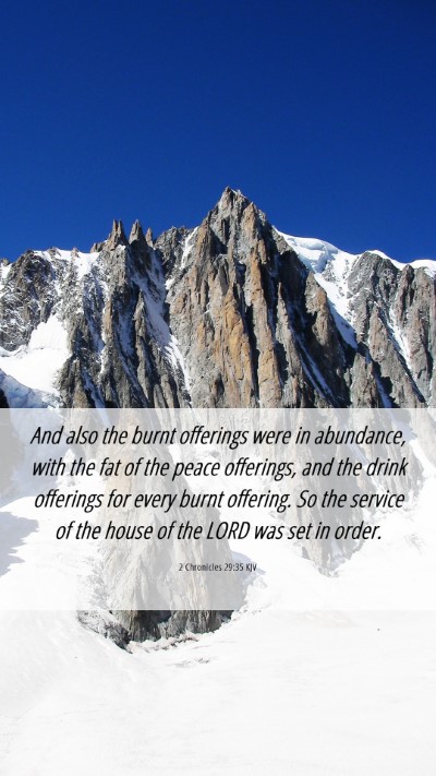 Picture 06 - 2 Chronicles 29:35 KJV Mobile Phone Wallpaper - And also the burnt offerings were in abundance, - Mobile Bible Verse Wallpaper