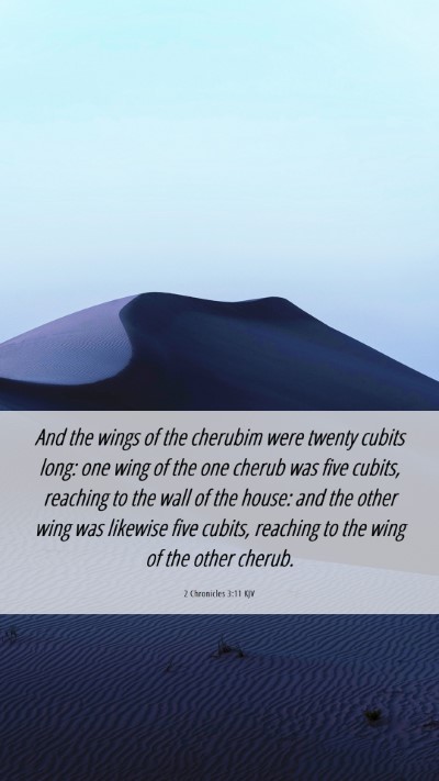 Picture 06 - 2 Chronicles 3:11 KJV Mobile Phone Wallpaper - And the wings of the cherubim were twenty cubits - Mobile Bible Verse Wallpaper