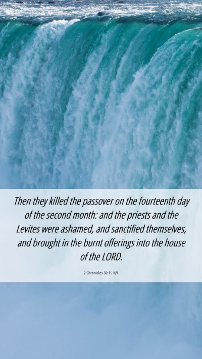 Picture 06 - 2 Chronicles 30:15 KJV Mobile Phone Wallpaper - Then they killed the passover on the fourteenth - Mobile Bible Verse Wallpaper