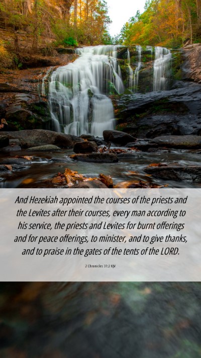 Picture 06 - 2 Chronicles 31:2 KJV Mobile Phone Wallpaper - And Hezekiah appointed the courses of the priests - Mobile Bible Verse Wallpaper
