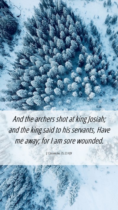 Picture 06 - 2 Chronicles 35:23 KJV Mobile Phone Wallpaper - And the archers shot at king Josiah; and the king - Mobile Bible Verse Wallpaper