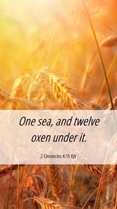 Picture 06 - 2 Chronicles 4:15 KJV Mobile Phone Wallpaper - One sea, and twelve oxen under - Mobile Bible Verse Wallpaper