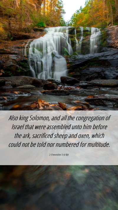 Picture 06 - 2 Chronicles 5:6 KJV Mobile Phone Wallpaper - Also king Solomon, and all the congregation of - Mobile Bible Verse Wallpaper