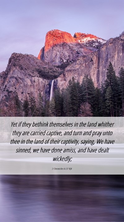 Picture 06 - 2 Chronicles 6:37 KJV Mobile Phone Wallpaper - Yet if they bethink themselves in the land - Mobile Bible Verse Wallpaper