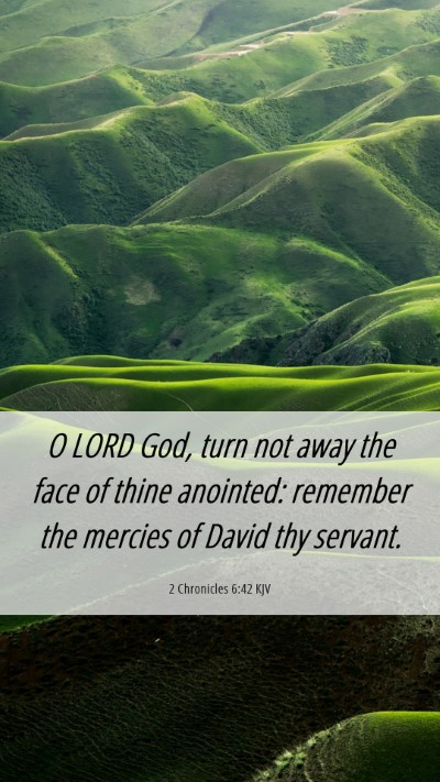 Picture 06 - 2 Chronicles 6:42 KJV Mobile Phone Wallpaper - O LORD God, turn not away the face of thine - Mobile Bible Verse Wallpaper