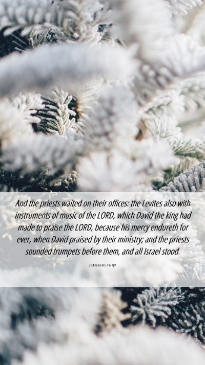 Picture 06 - 2 Chronicles 7:6 KJV Mobile Phone Wallpaper - And the priests waited on their offices: the - Mobile Bible Verse Wallpaper