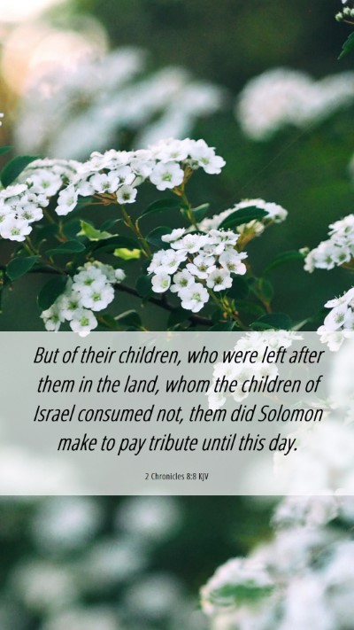 Picture 06 - 2 Chronicles 8:8 KJV Mobile Phone Wallpaper - But of their children, who were left after them - Mobile Bible Verse Wallpaper