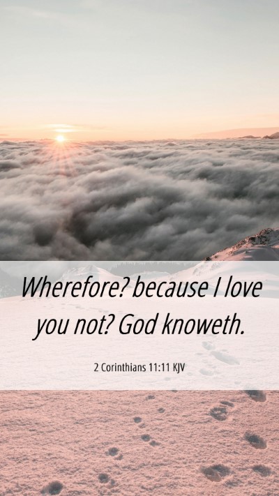 Picture 06 - 2 Corinthians 11:11 KJV Mobile Phone Wallpaper - Wherefore? because I love you not? God - Mobile Bible Verse Wallpaper